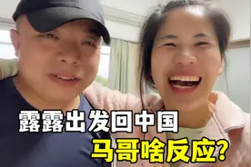 时隔2年露露回国，马哥急坏了：媳妇，你不会不要我了吧？视频封面