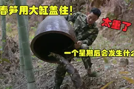 春笋被大缸盖住一个星期后会发生什么？掀开缸瞬间才发现笋的力量视频封面