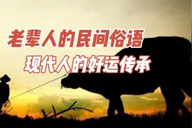 2021年景如何？民间俗语”寡妇追牛，六人分饼”是什么意思？视频封面