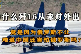 我国害怕俄罗斯？为何我国歼16从未出口，难道只是因为俄罗斯不让视频封面