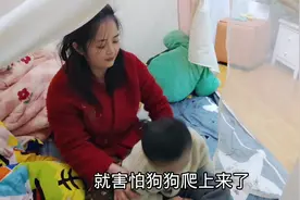 昨天家里跑来一只小狗，今天还没找到它的主人，下雪了只有留下它视频封面