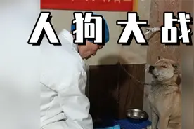 史上最记仇的狗子！被医生绝育后，追着对方骂了4年？视频封面