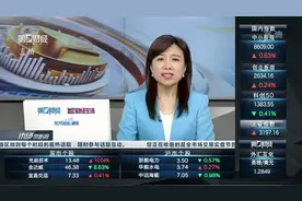 中原证券：风险推动再定价+关注内循环经济丨有看投视频封面