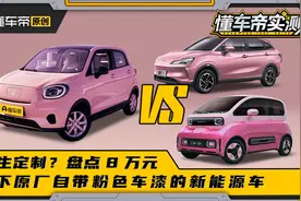 女生定制？盘点8万元上下原厂自带粉色车漆的新能源车视频封面