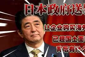 日本政府送钱让企业买海外土地，超国土面积3倍，究竟想干什么视频封面