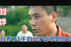 假如生活欺骗了你，刘烨养了5年的儿子却不是自己的、、、视频封面