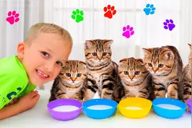 弗拉德和基尼捡到一窝流浪猫，真的好可爱，我也想养小猫了视频封面