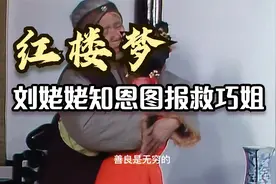 刘姥姥三进贾府 每次都不简单 终救助者变成救世主视频封面