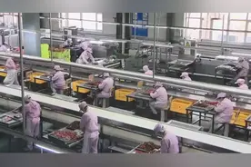 稳定就业促进乡村振兴视频封面