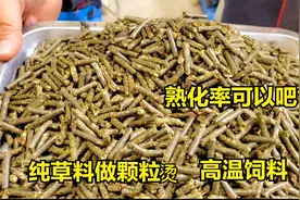 纯草料做颗粒饲料，能不能加工？帮粉丝研磨260颗粒机，顺便测试视频封面