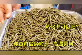 纯草料做颗粒饲料，能不能加工？帮粉丝研磨260颗粒机，顺便测试视频封面