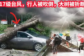 房顶瞬间被掀飞，汽车被吹翻侧滑，大树折断，17级台风真实视频视频封面