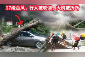 房顶瞬间被掀飞，汽车被吹翻侧滑，大树折断，17级台风真实视频视频封面