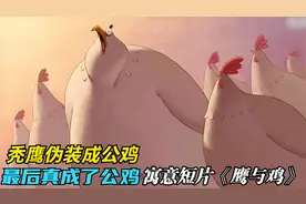 秃鹰伪装成公鸡，混入农场偷吃鸡群，最后竟真变成了一只鸡视频封面