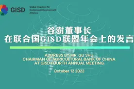 农业银行董事长谷澍参加联合国全球可持续发展投资者联盟年会视频封面