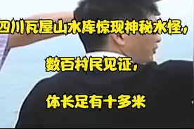 四川瓦屋山水库惊现神秘水怪，数百村民同时见证，体长足有十多米视频封面
