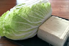 白菜豆腐好吃的做法，注意几个小技巧，出锅连汤都不剩拿肉都不换视频封面