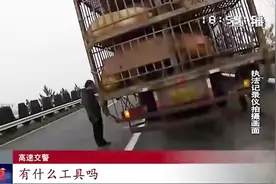 家猪从车中掉落，在高速上乱窜，“玩”了十五分钟被抓回车内视频封面