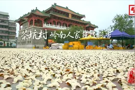 今晚20:00，CCTV4，走进茶坑村，品陈皮芬芳视频封面