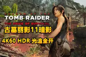【野兽游戏】P11《古墓丽影11暗影》4K60全剧情流程解说攻略！视频封面