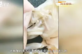 梭子蟹里密密麻麻的东西是什么？到底能不能吃？