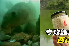 西药钓鱼真的有那么厉害吗？水下测试揭露真相，实践证明真实有效视频封面