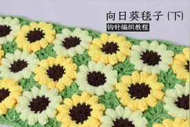 一起来钩织向日葵毯子，钩针编织教程，做出来的效果真漂亮视频封面