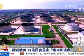 胜利油田东营原油库迁建工程启动，将建成国内首座“碳中和油库”视频封面