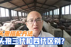 头孢搭配好，效果就是好，三代头孢与四代头孢的区别是什么？视频封面
