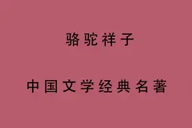 有声书 骆驼祥子-老舍_21视频封面
