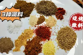 一款好的烧烤料等于半个师傅！13种调料比例精准，油泼使用更佳