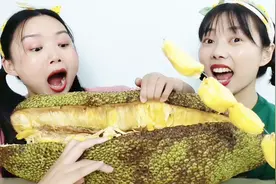 俩闺蜜徒手掰开“超大菠萝蜜”，色泽金黄味芬芳，馋相超逗视频封面