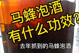马蜂泡酒有什么功效