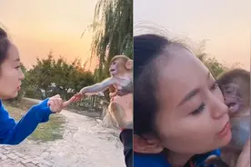江苏半岁小猕猴把饲养员当妈，紧贴脸颊求抱抱，一分开就崩溃大叫视频封面