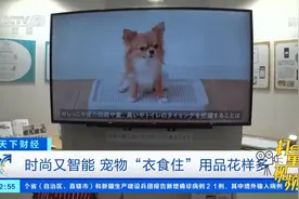 疫情提振“它经济”，日本最大宠物用品展开展|天下财经视频封面