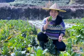 摘一把青菜苔，简单一炒，比吃肉还香视频封面