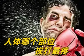 人体哪个部位挨打最疼？一拳下去直接休克，隔着屏幕都觉得疼视频封面