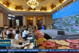 海南第二届中国国际消费品博览会东方专场招商推介会举行视频封面