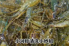 小河虾只用清水洗就错了，泥沙脏东西洗不掉，教你一招，干净放心视频封面