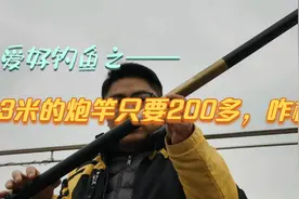 两百多元买13米的炮竿，质量怎么样。这个价格能入手好的炮竿吗？视频封面