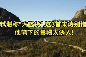 苏轼堪称"大吃货",这3首宋诗别错过,他笔下的食物太诱人!视频封面