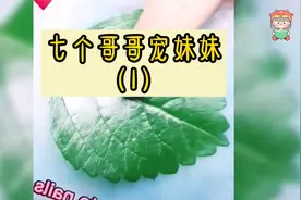 七个哥哥宠妹妹 (1)不闻不问的七个哥哥天天围着转视频封面