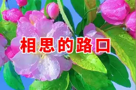 新歌！勾辉一首情歌《相思的路口》，爱你到最后默默守着你到永久视频封面