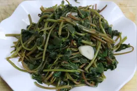 十人九痔，牢记1种野菜，放心吃，清热凉血，止血消肿，专克痔疮视频封面