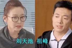 隐藏太深的明星夫妻，刘天池嫁欢乐颂老魏，徐洪浩娶她让人太意外视频封面