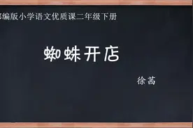 部编版小学语文优质课　蜘蛛开店　教学实录　二年级下册视频封面