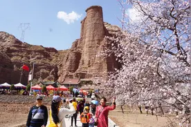 从兰州出发走进东乡 体验“唐汪川杏花别样艳”的景致视频封面