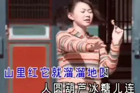 卓依婷《冰糖葫芦》突然在抖音火了，歌词太扎心视频封面
