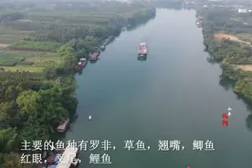 广西南宁金陵镇右江，野钓大罗非圣地，距离南宁不到30公里视频封面