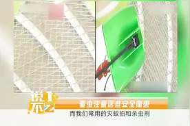 驱虫担心安全隐患，电蚊拍和杀虫剂相遇，瞬间变大杀器“喷火枪”视频封面